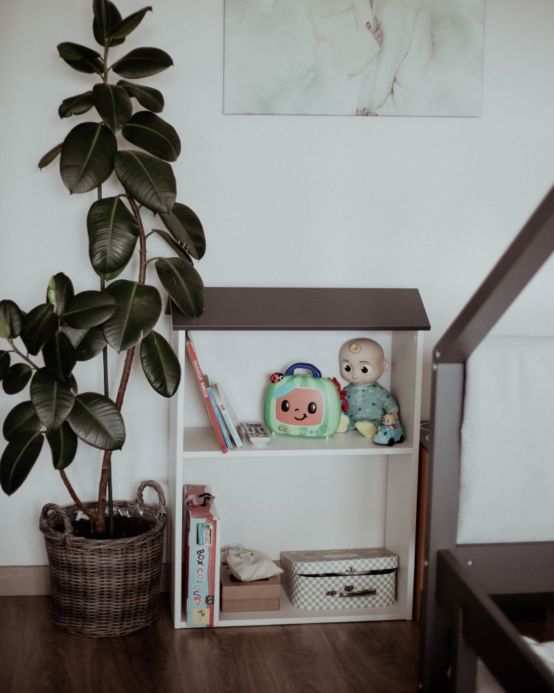 Shelves